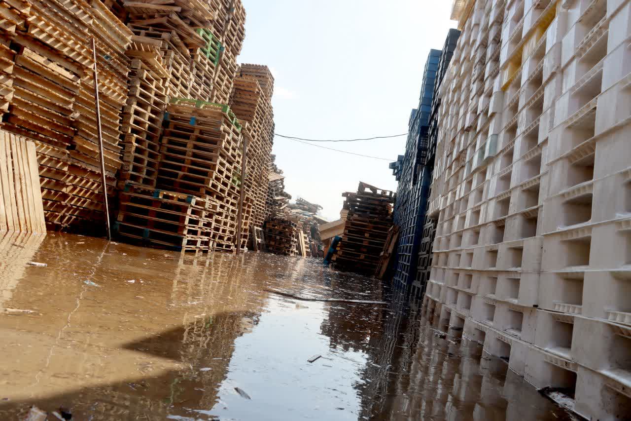 IMG_20241019_153419_914