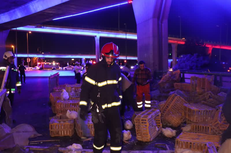 55b7ca08-99bc-4436-87ef-b890bfb7dcc9