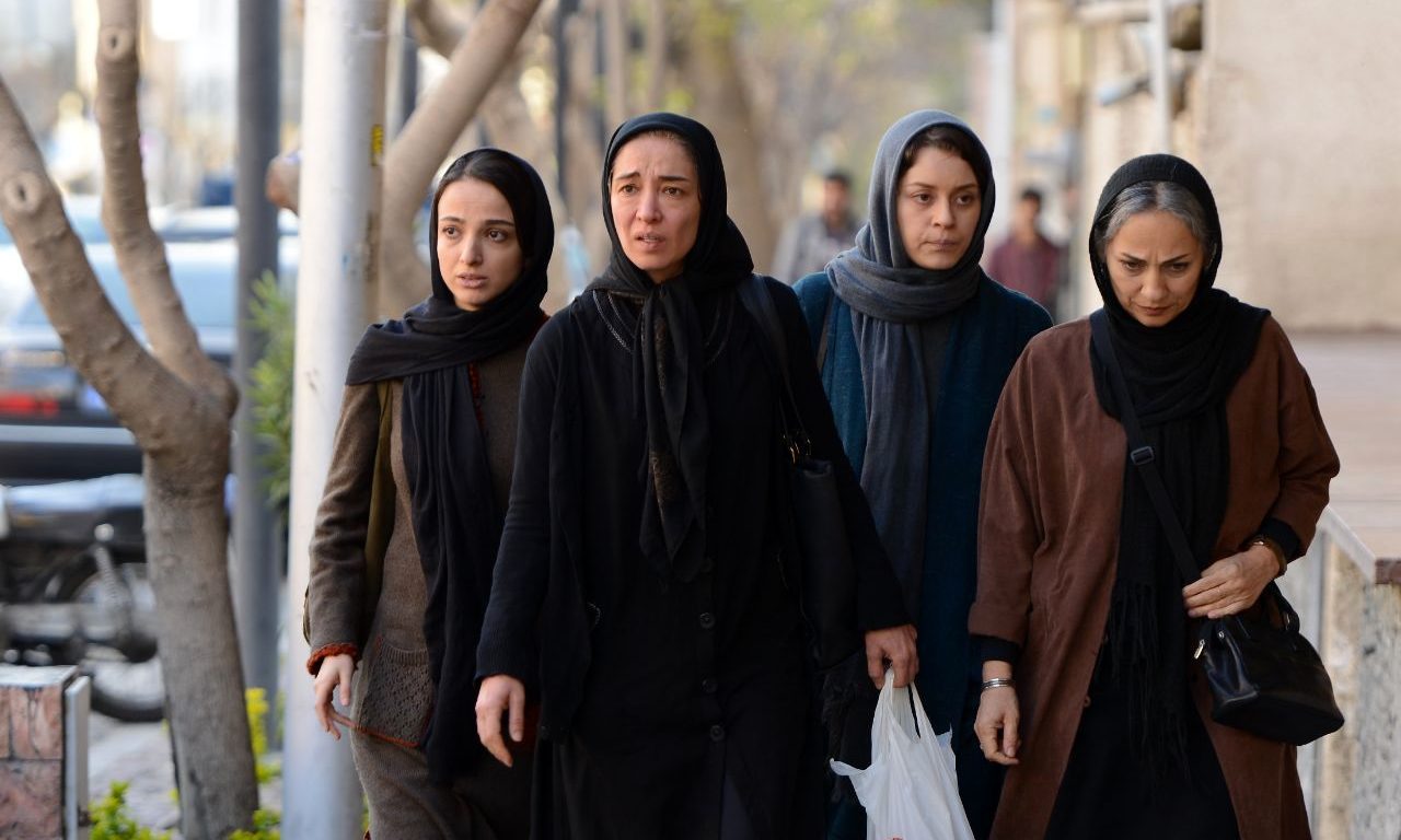 پانته آ پناهی در فیلم