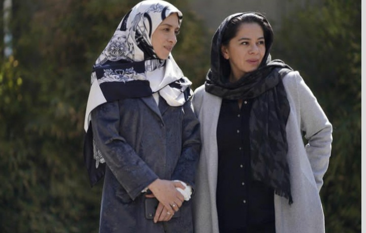 Panthea Panahi_s (8)