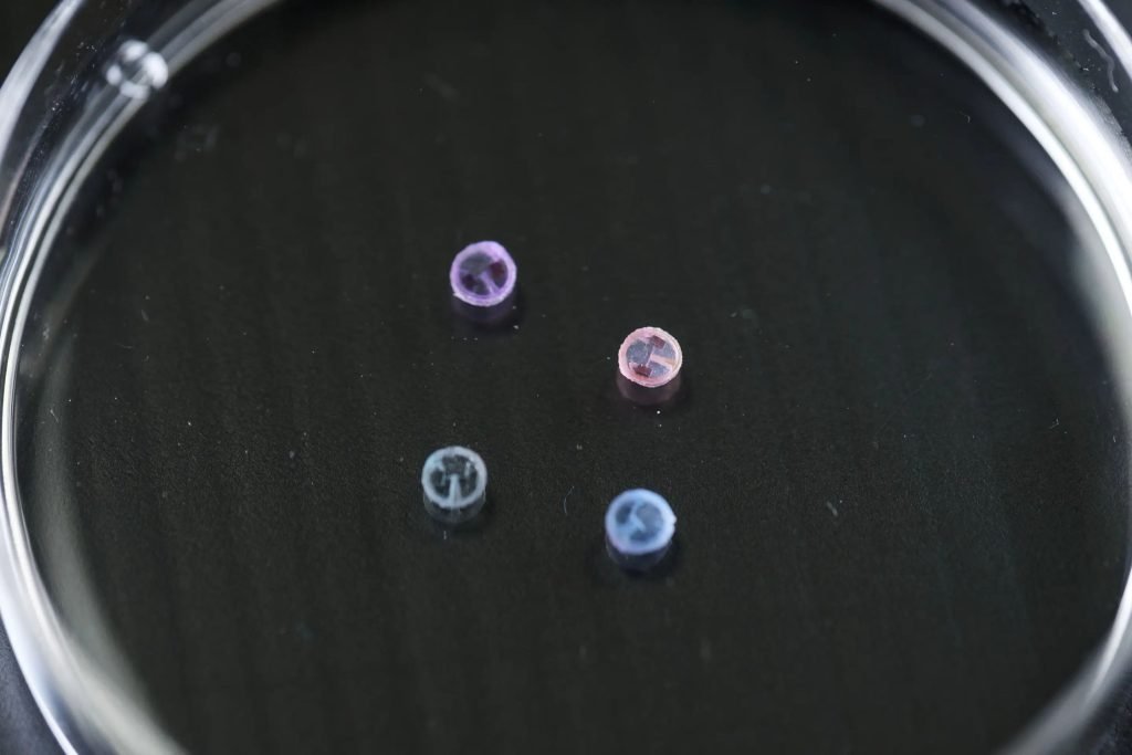 دانشمندان ربات‌های نرم زیاد کوچکی برای حمل دارو در بدن ساختند + عکس_اصفهانیا