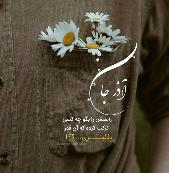 profile of azarmahi (3)