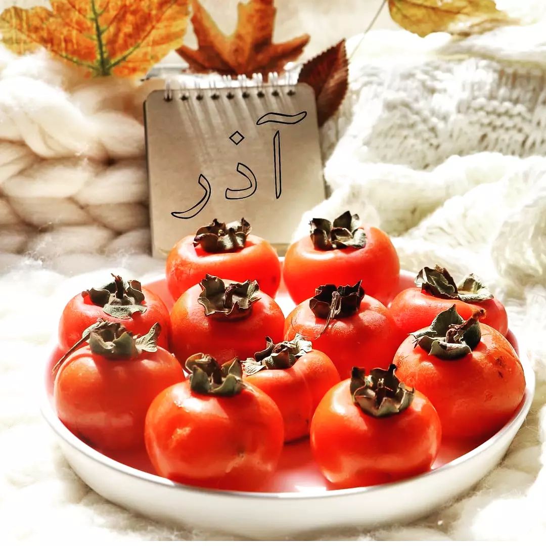 profile of azarmahi (10)