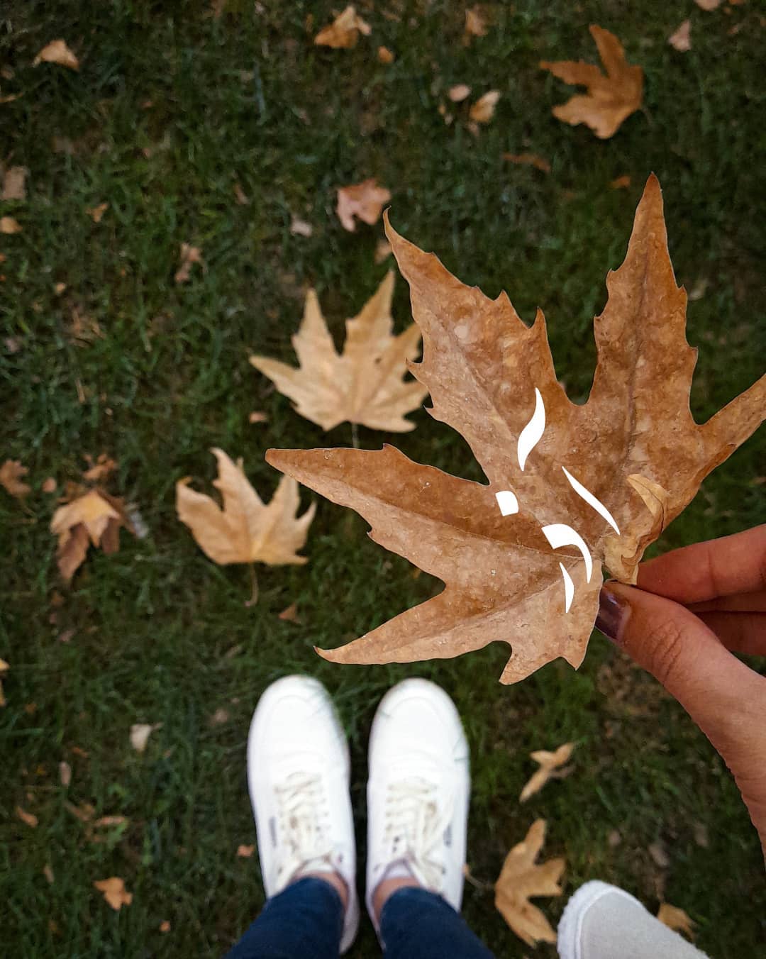 profile of azarmahi (23)