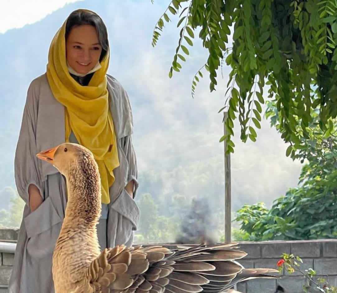 بیوگرافی سحر ولدبیگی و نیما فلاح 55 Sahar Valdebigi (4)