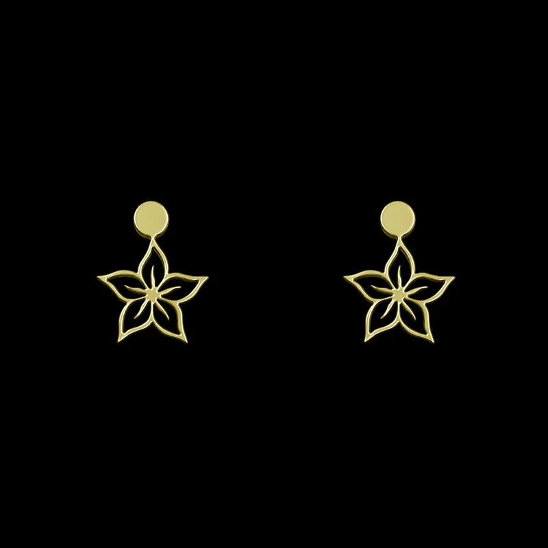 madel gushvareh (37)