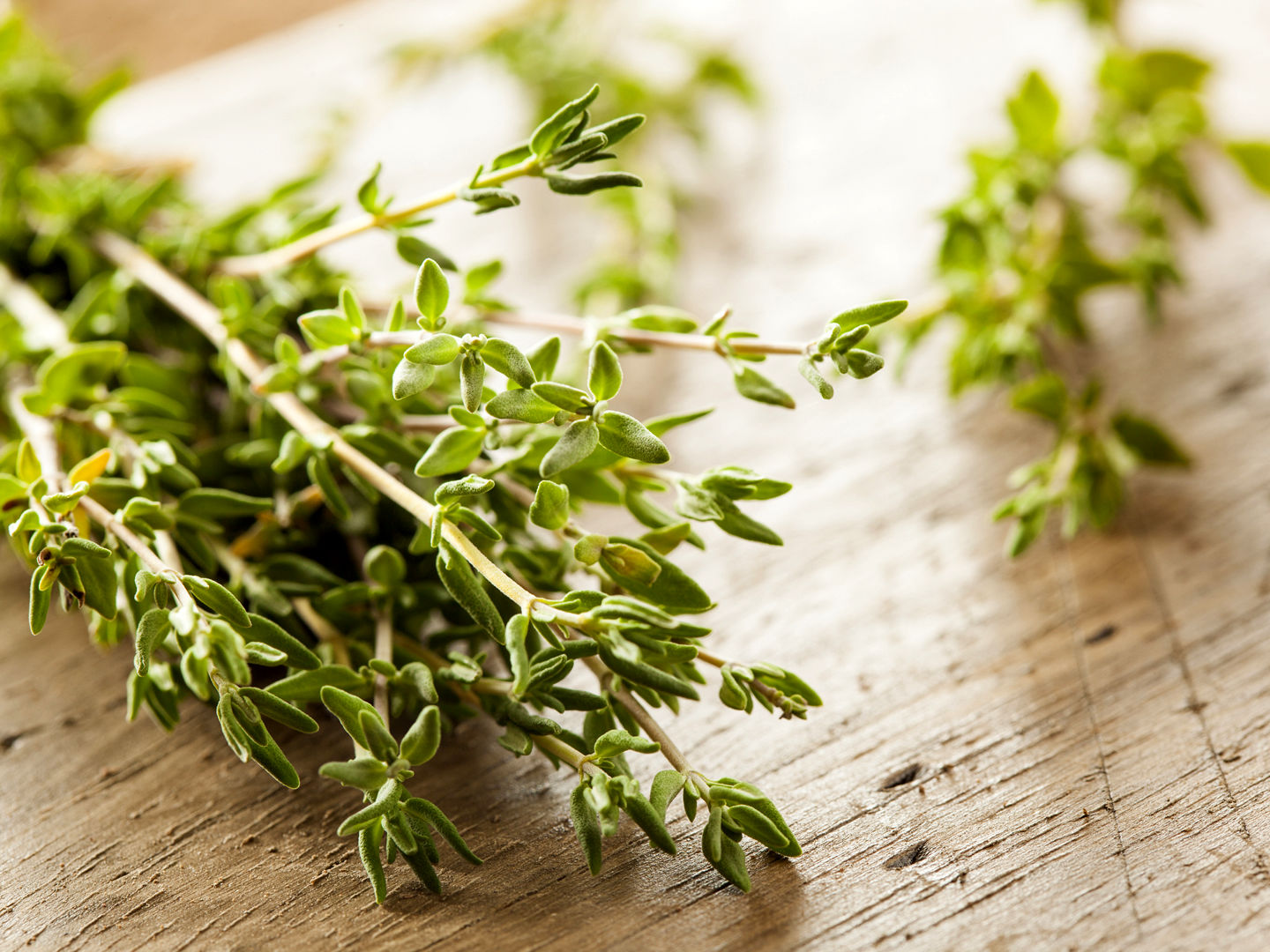 thyme (3)