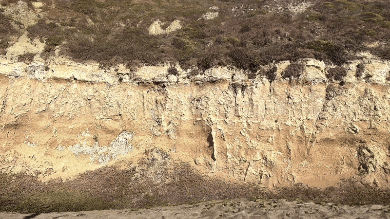 ساخت دنیای مجازی با هوش مصنوعی مولد و دوربین‌های پیشرفته + عکس_اصفهانیا