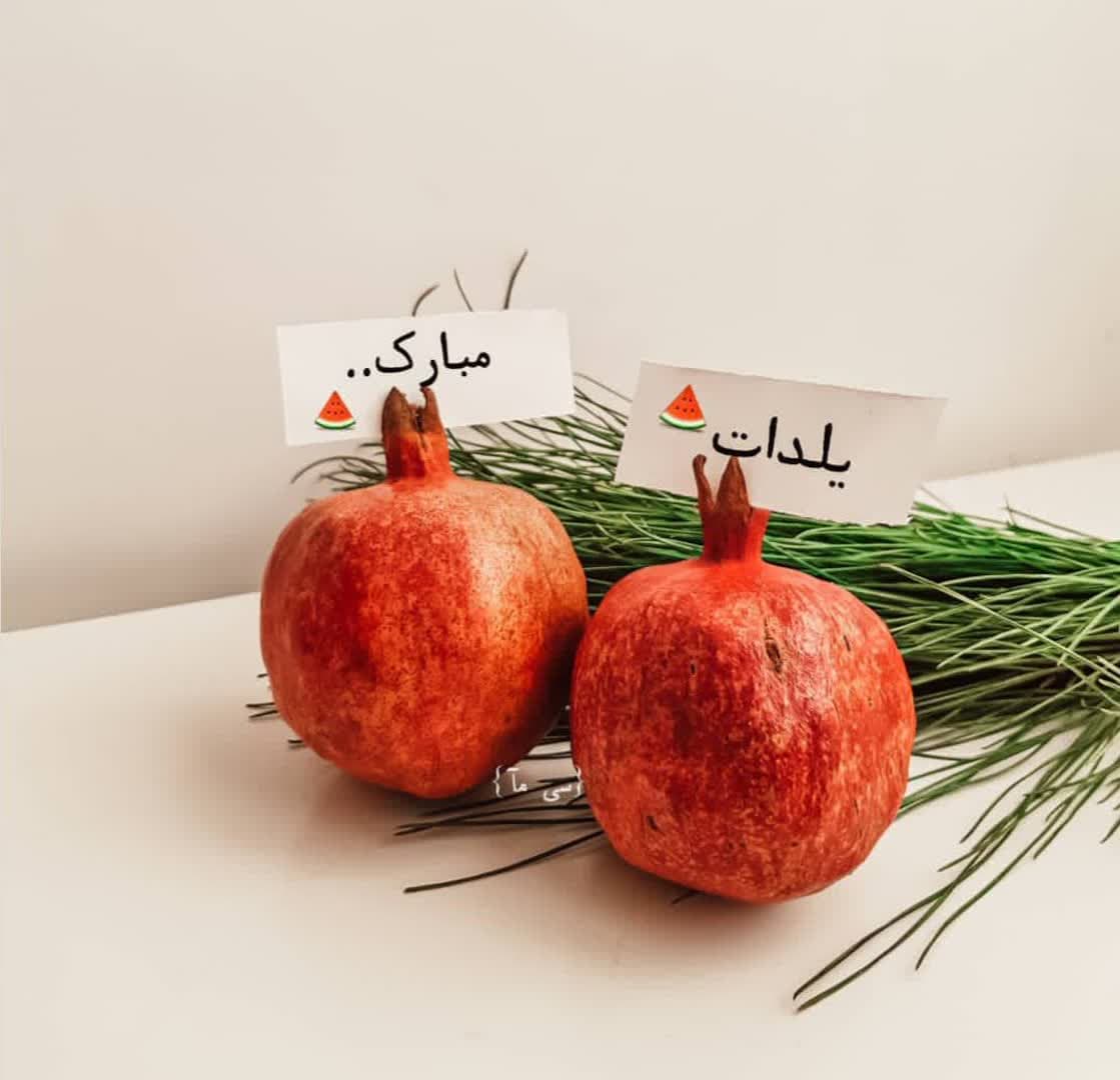 Yalda Night Profile (11)