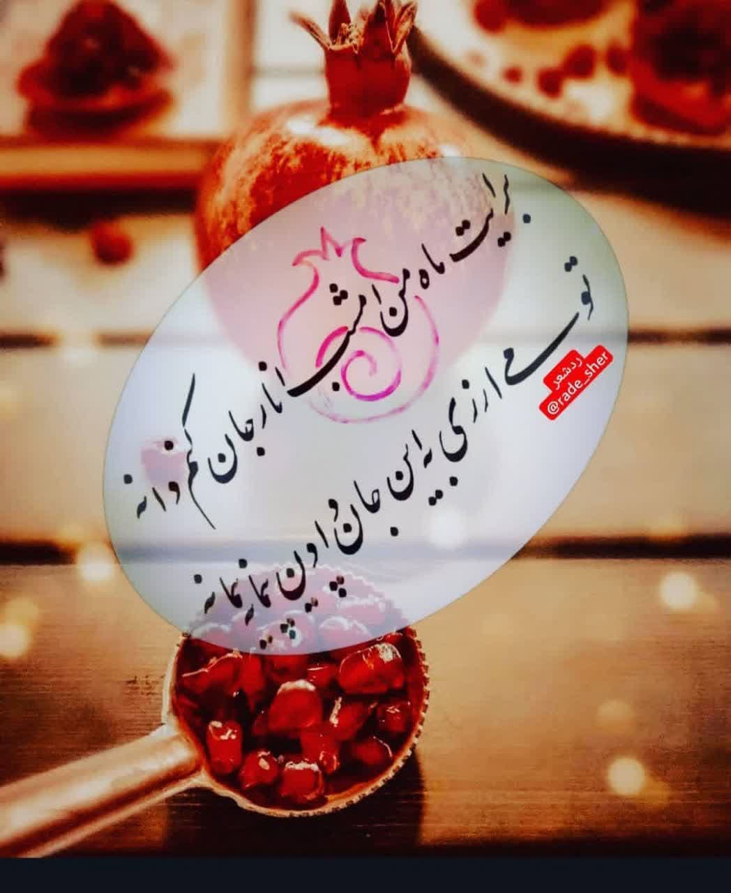 Yalda Night Profile (21)