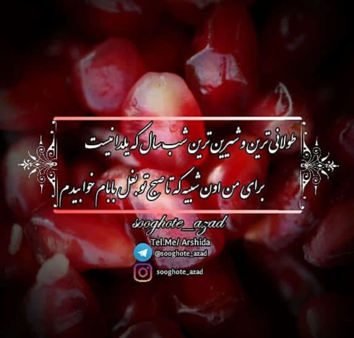 Yalda Night Profile (27)