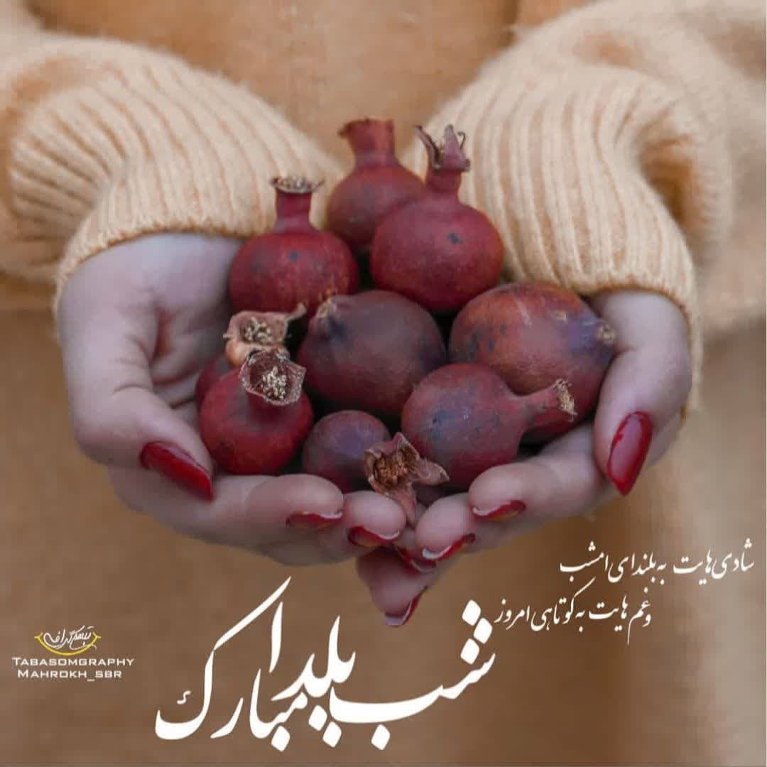 Yalda Night Profile (29)