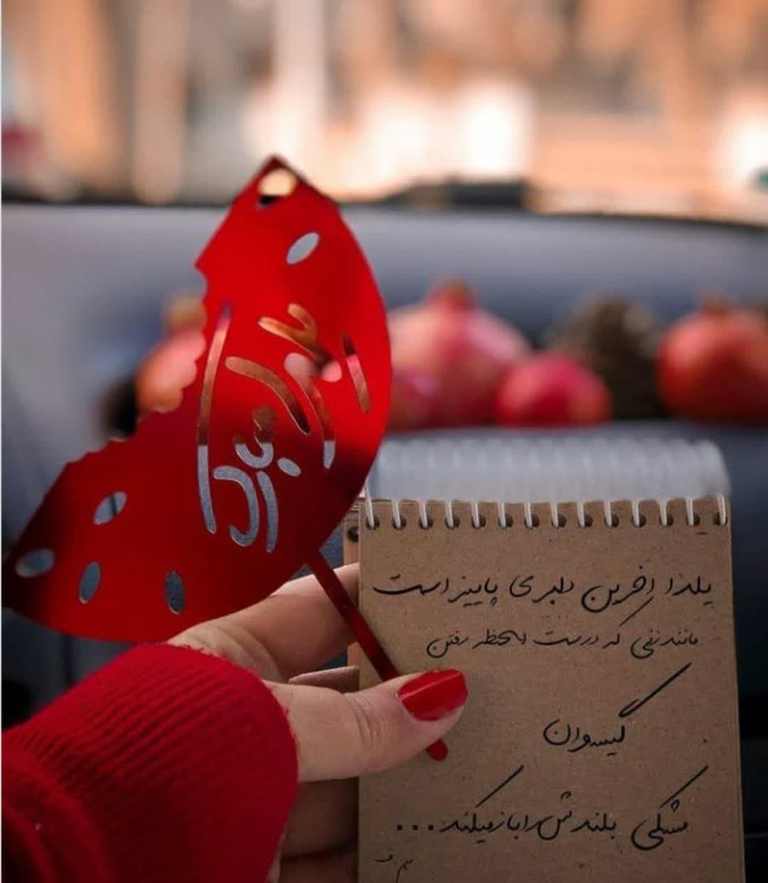 Yalda Night Profile (34)