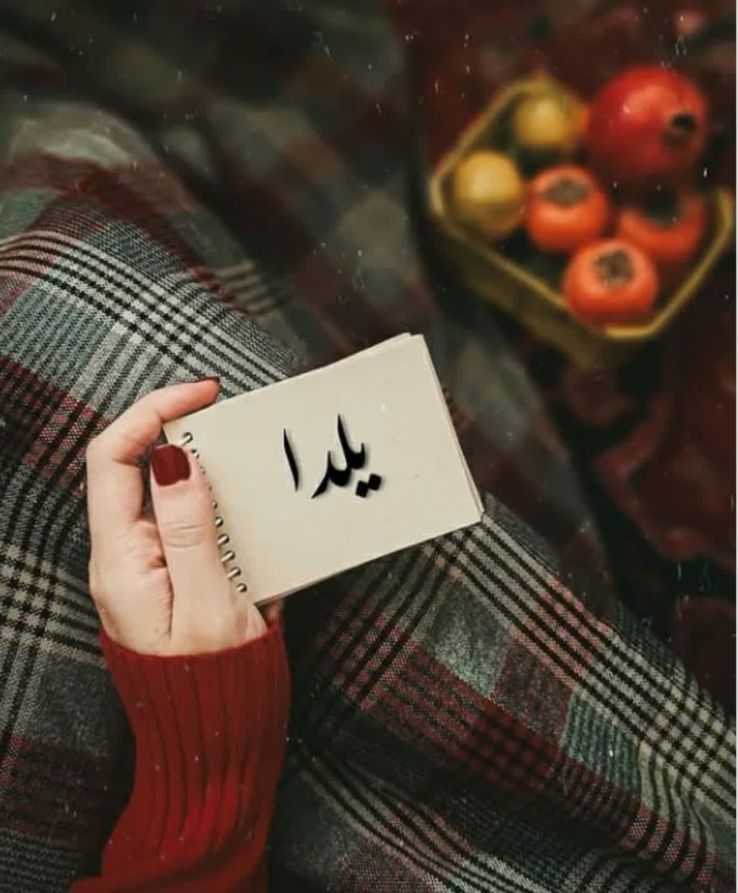 Yalda Night Profile (33)