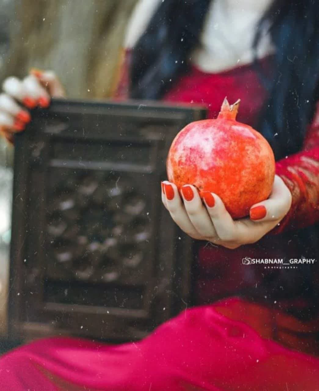 Yalda Night Profile (35)