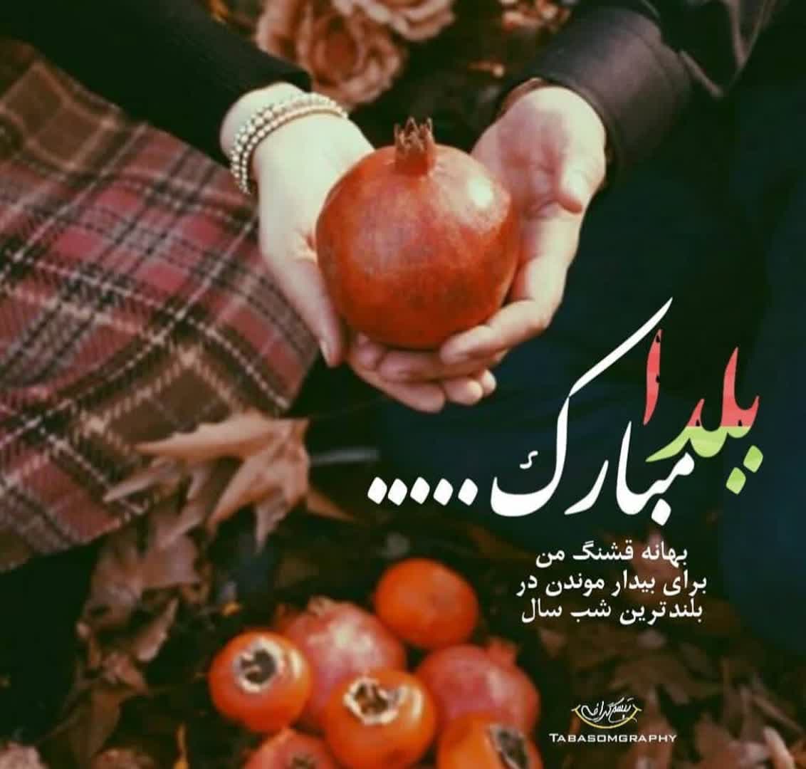 Yalda Night Profile (37)