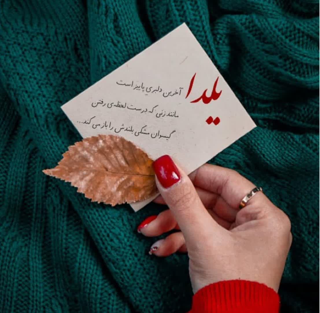 Yalda Night Profile (41)