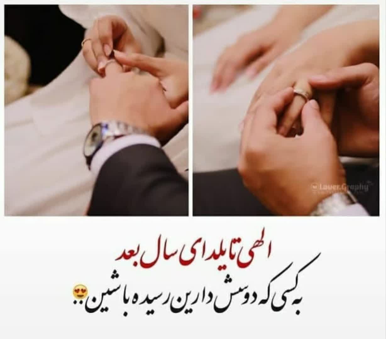 Yalda Night Profile (47)