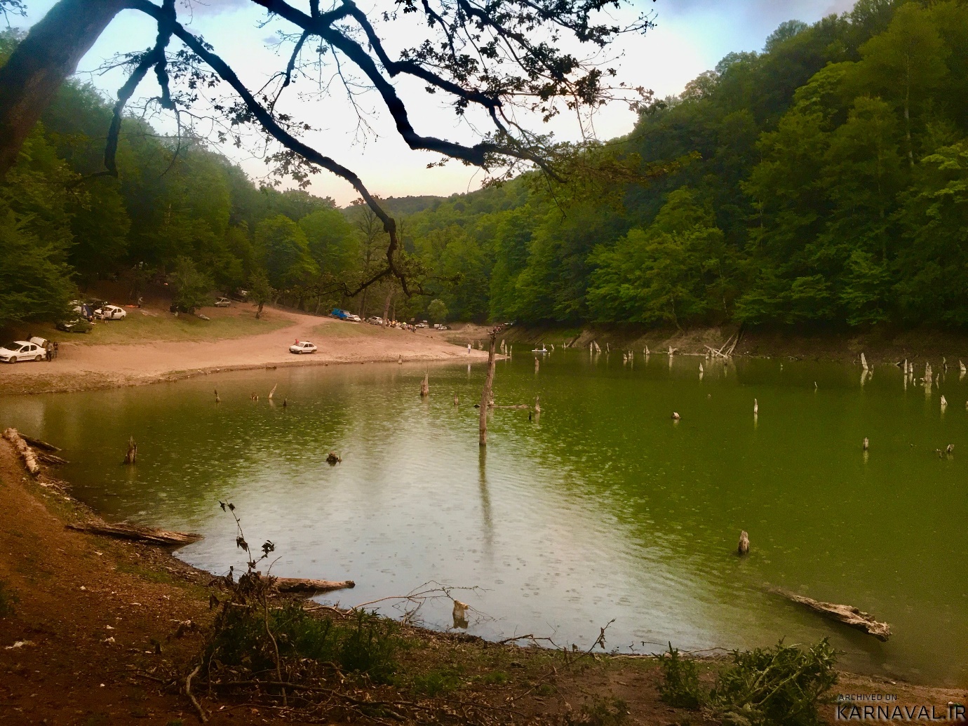 344156b5-d223-4a67-8782-f2debb060c97