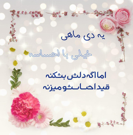 عکس پروفایل دی ماهی جدید (18)