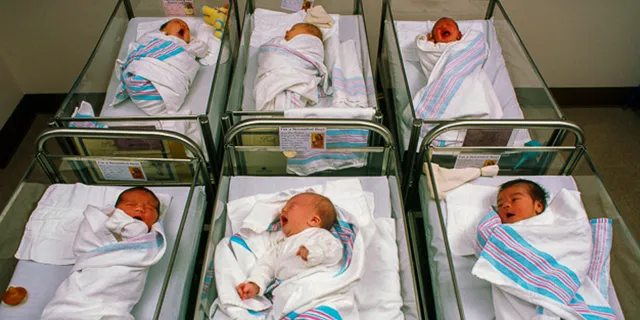 تعداد تولد نوزادان در هر ساعت در کشورهای گوناگون چطور است؟ + اینفوگرافی_اصفهانیا 13 1734411309 900 تعداد تولد نوزادان در هر ساعت در کشورهای گوناگون چطور.webp