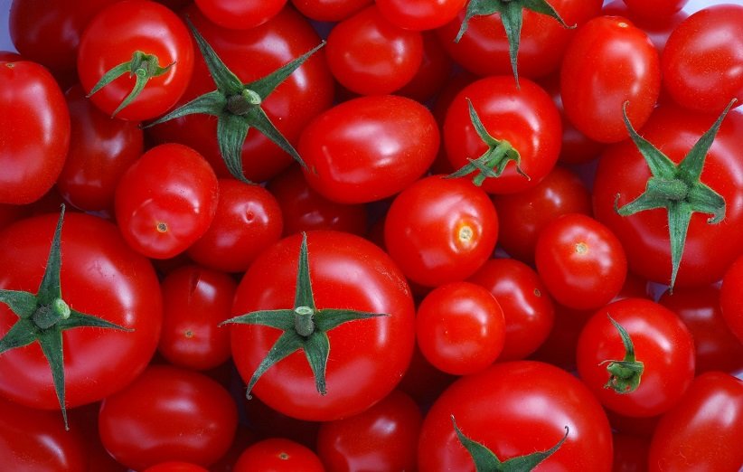 طبع گوجه فرنگی گرم است یا سرد 10 tomato