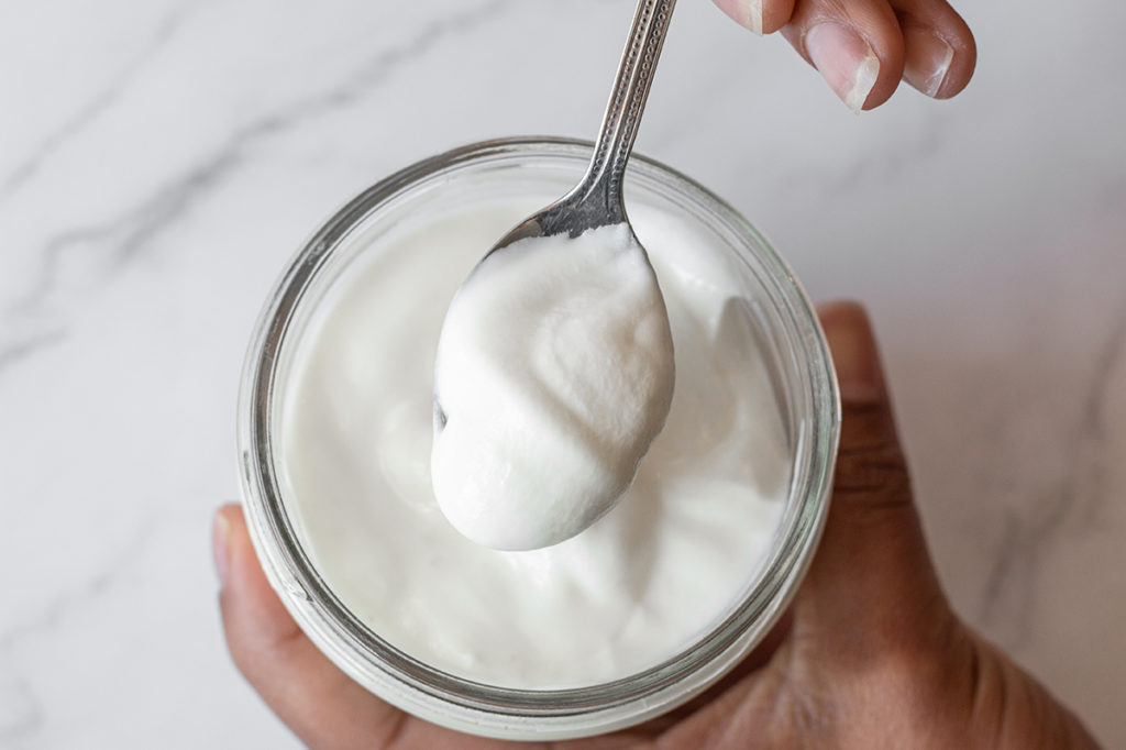 yogurt (2)