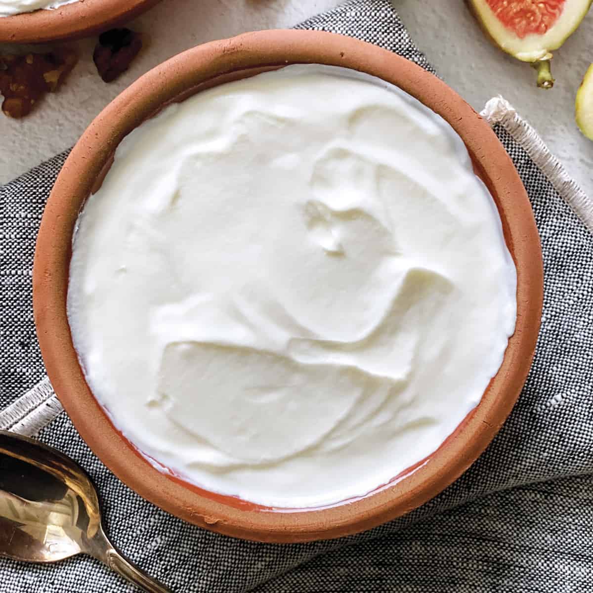 yogurt (3)