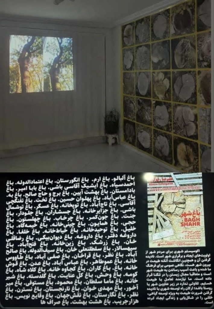 درختانی که جدی گرفته نشده اند