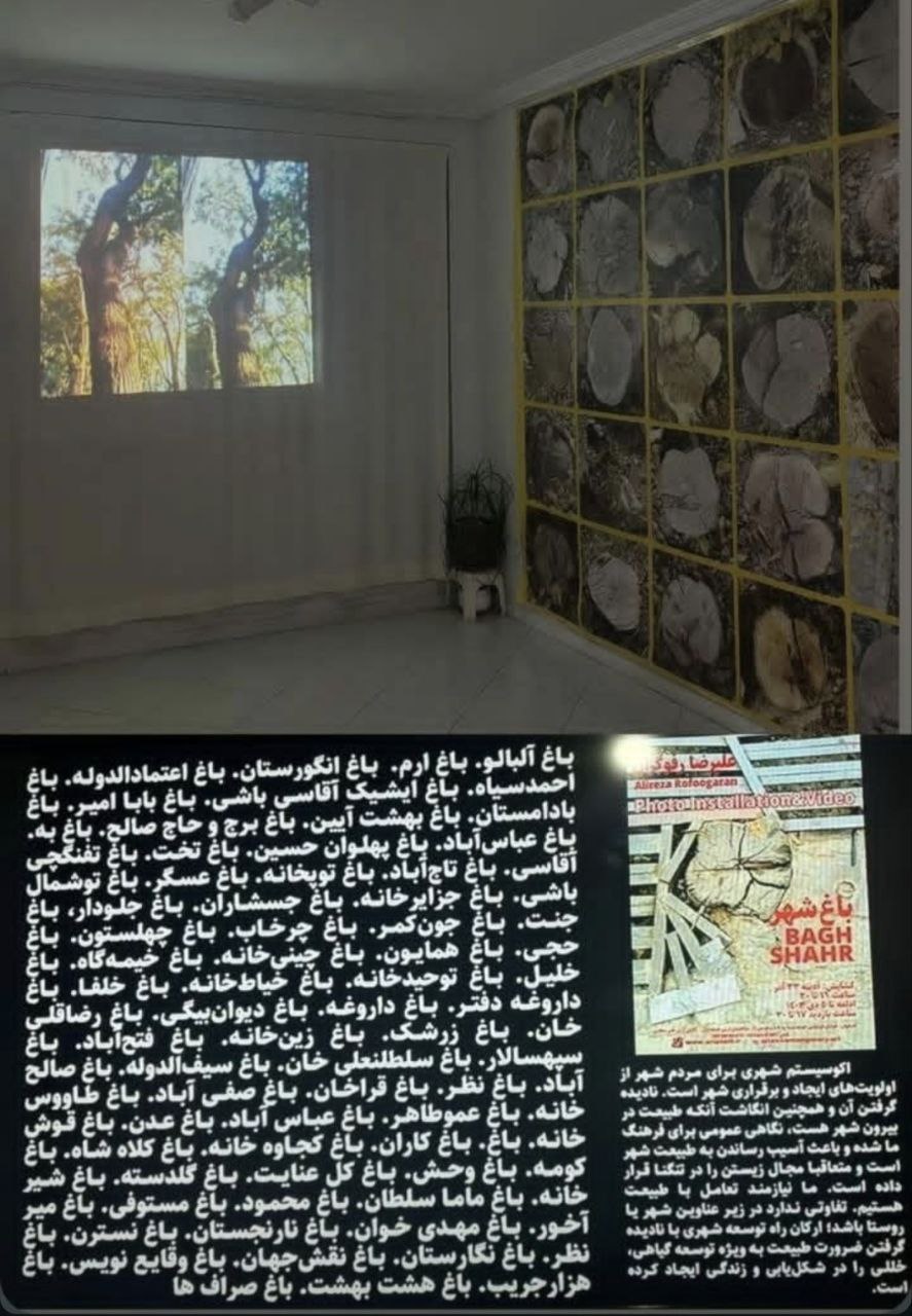 IMG_20241216_162540_421