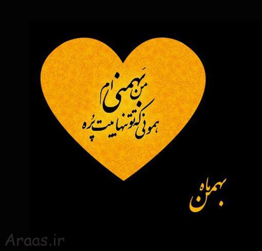 profile bahman mahi (7)