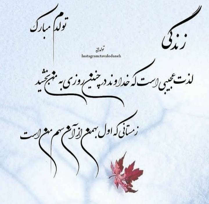 profile bahman mahi (17)