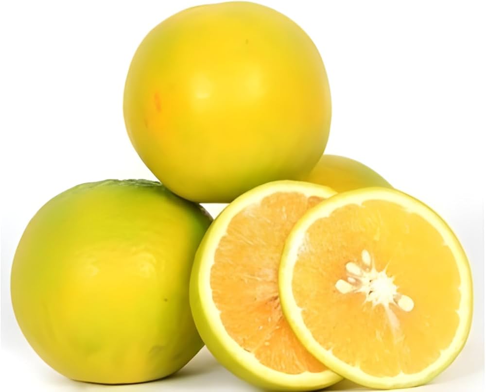 خواص و زیان های لیمو شیرین 2 sweet lemon (4)