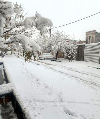 بارش سنگین برف صبح امروز در کهک قم_اصفهانیا