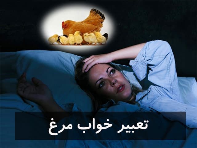 تعبیر خواب مرغ حضرت یوسف و امام صادق