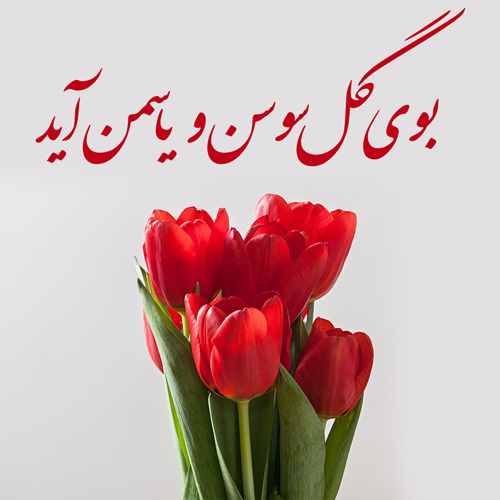 پروفایل دهه فجر (22)