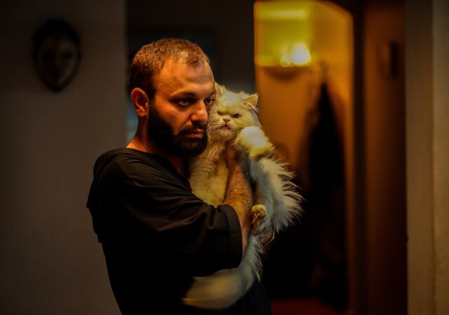 فیلم لاک پشت (1)