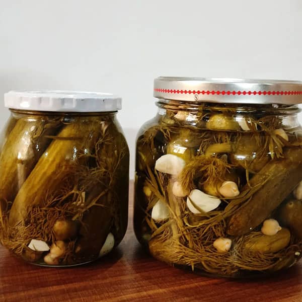 pickled cucumber (2)
