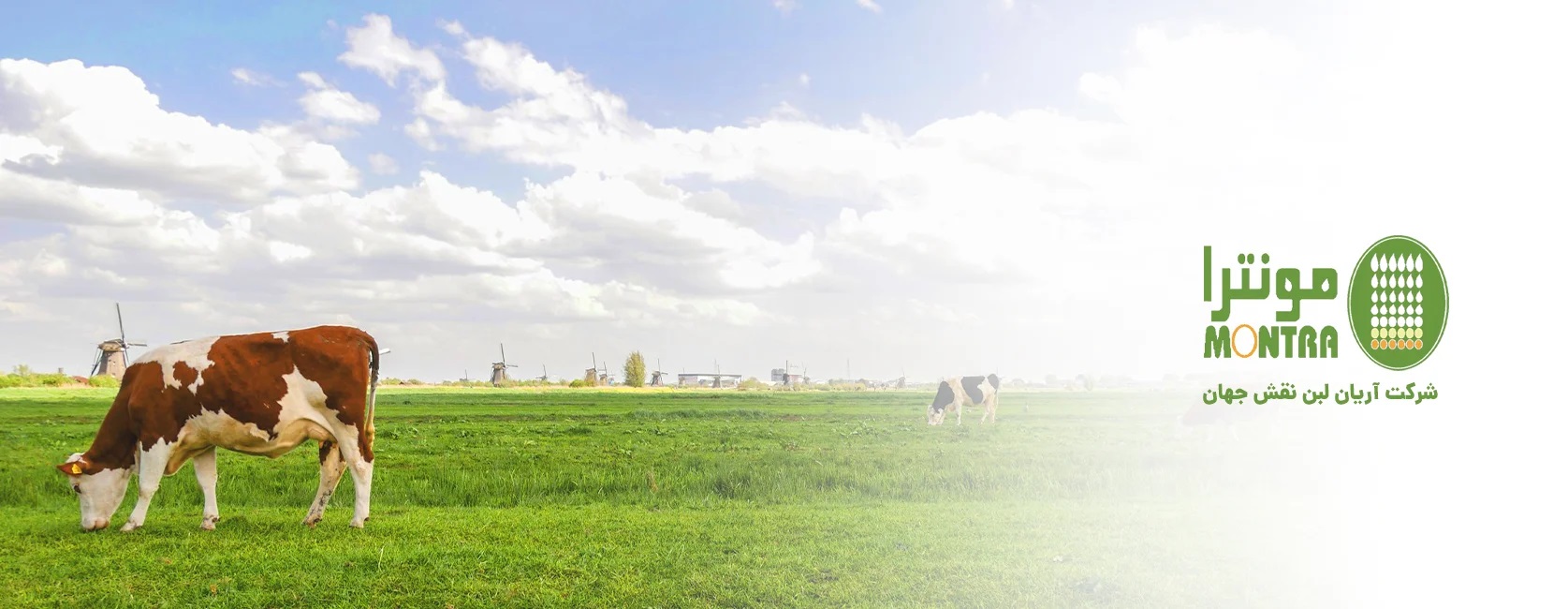 شرکت آریان لبن نقش جهان (مونترا) - تصویر 1