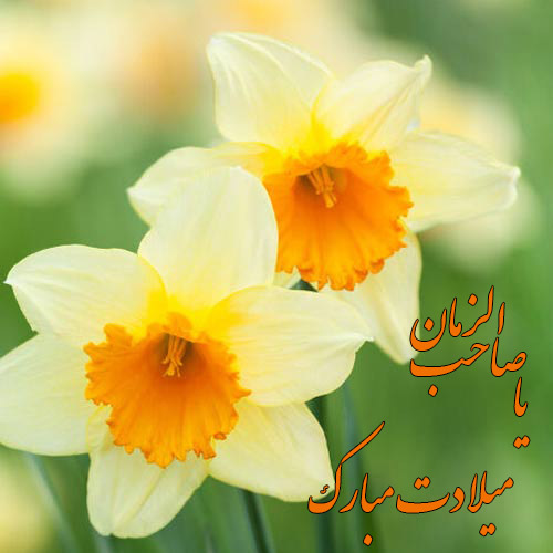 عکس نوشته ولادت امام زمان (12)