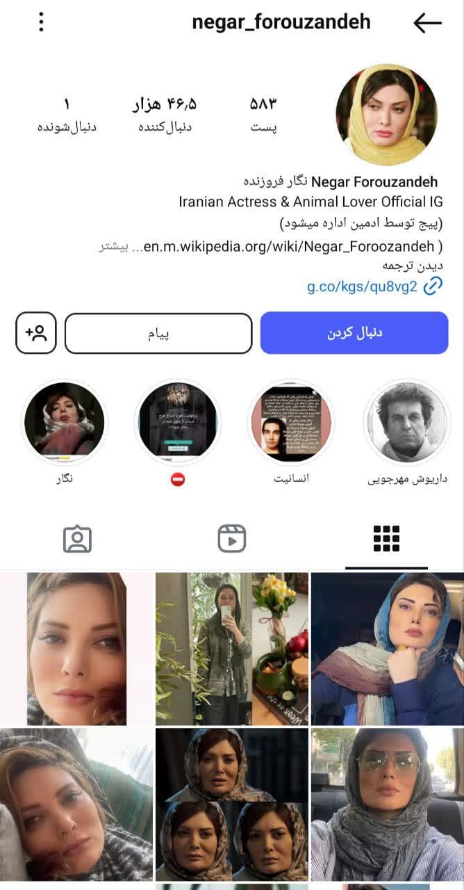 Negar Foruzandeh (14)