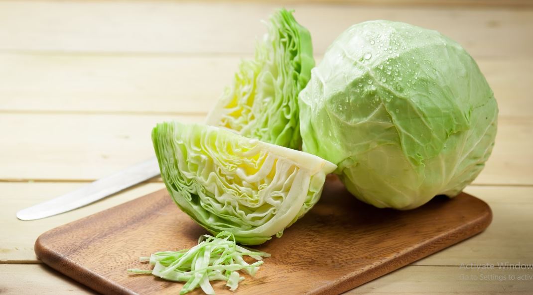 14خواص بسیار کلم ؛ چه افرادی نباید کلم بخورند؟ 8 cabbage (2)