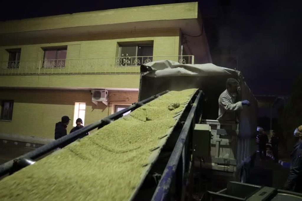 مرگ در سیلوی گندم