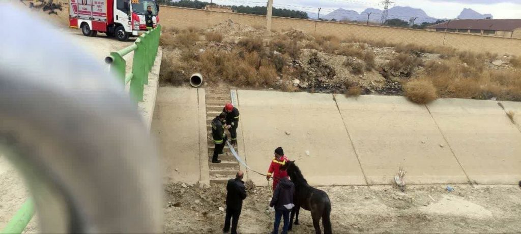 نجات اسب از کانال آب خشک دنارت