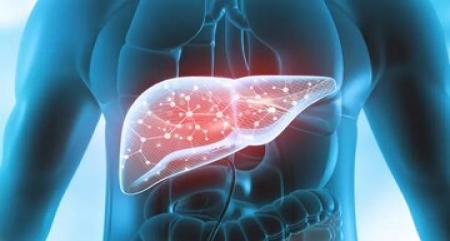 ۸ ماده غذایی که دوست کبد شما هستند_اصفهانیا