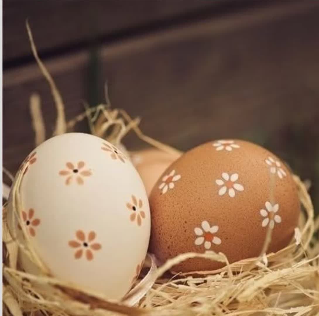 haft sin egg decoration (41)