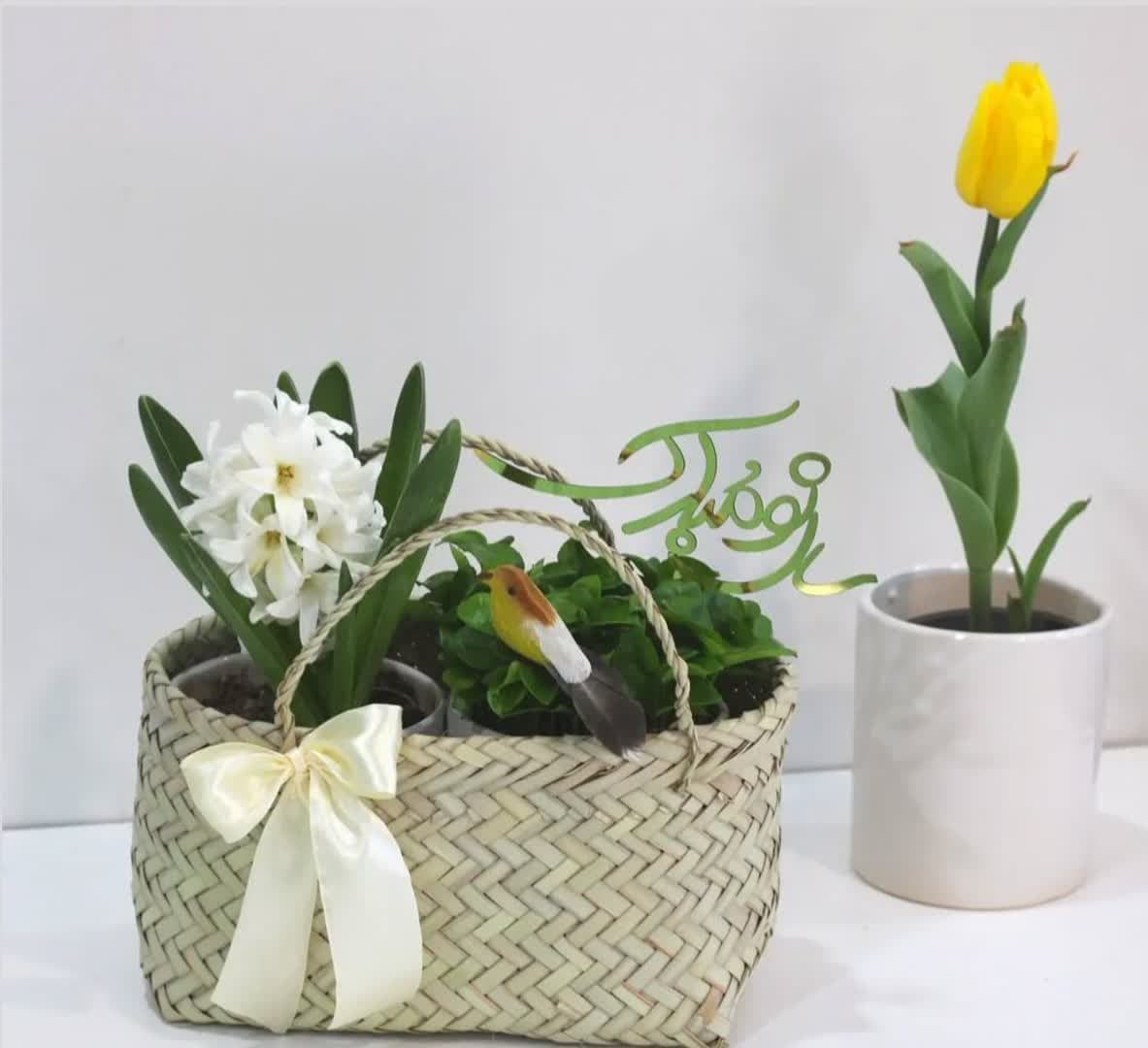 model sabzeh eid (3)