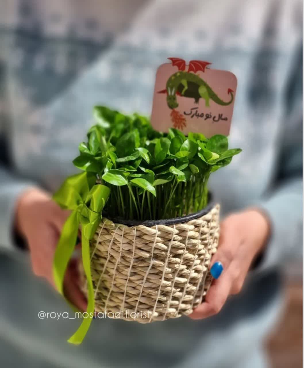 model sabzeh eid (5)