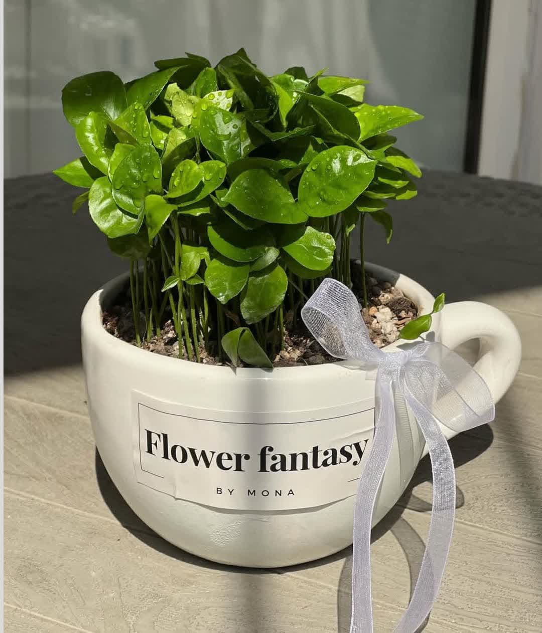 model sabzeh eid (8)