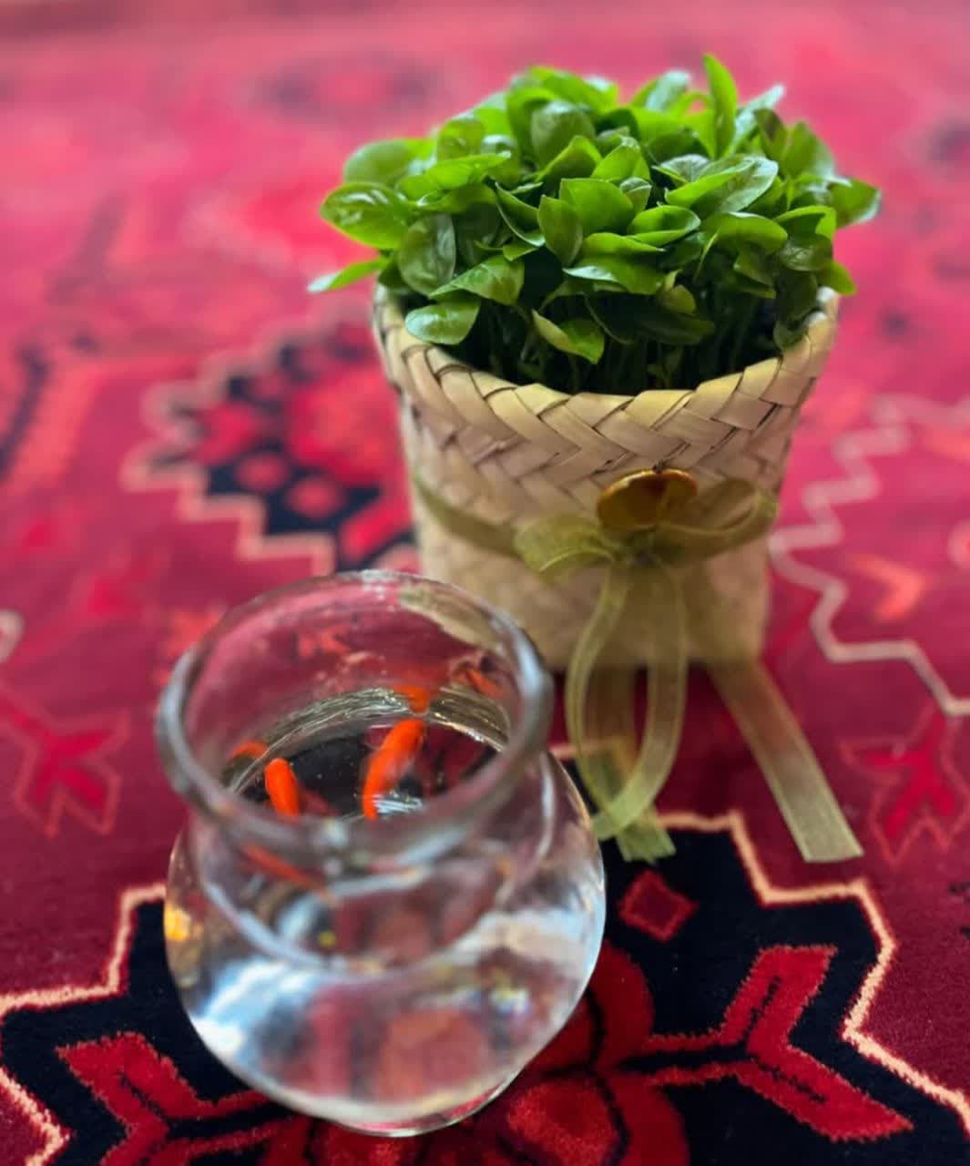 model sabzeh eid (13)